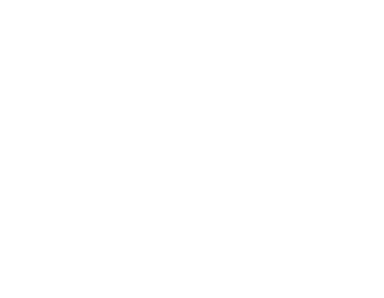 Terra Vision Logo