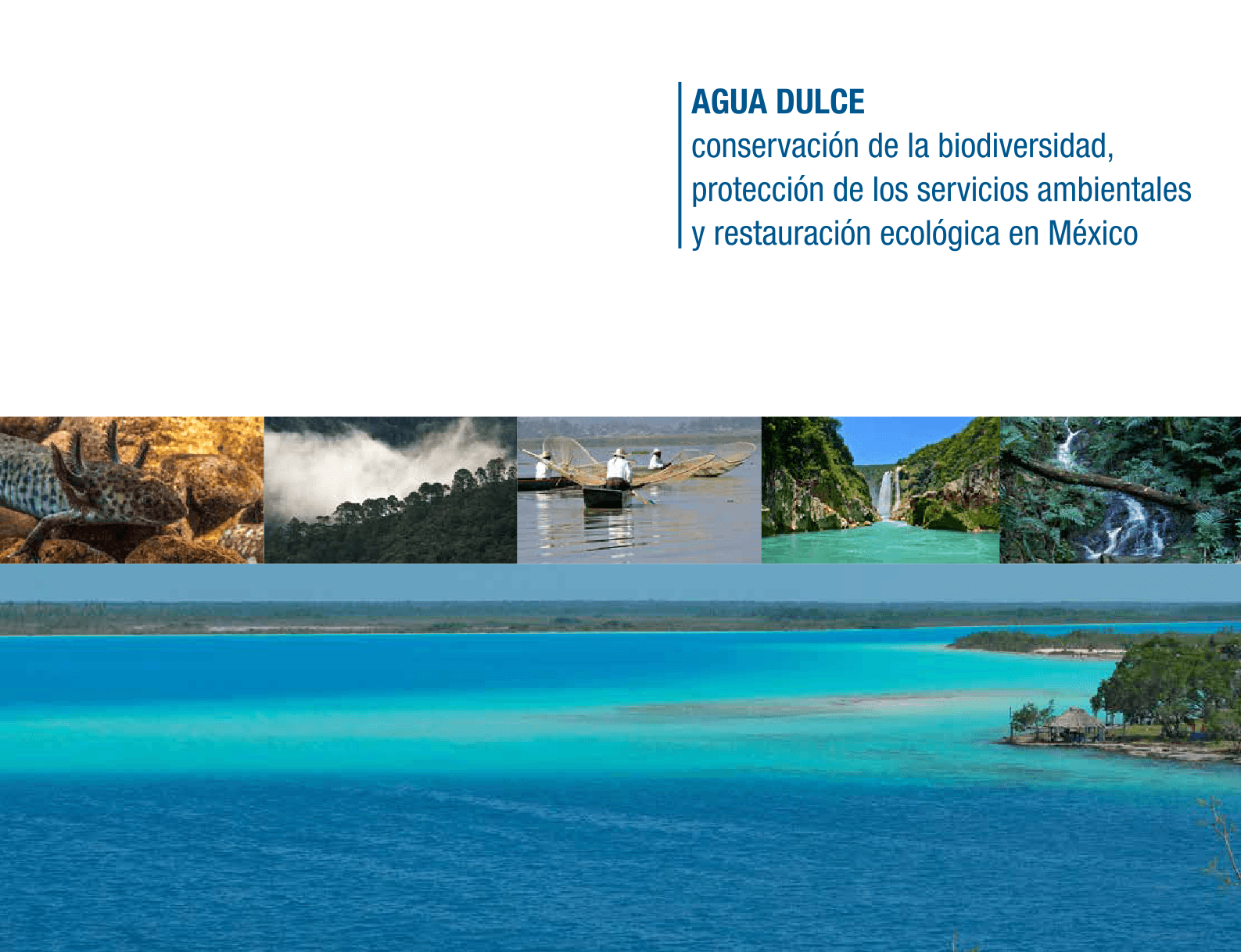 The Nature Conservancy (TNC) — Agua dulce, conservación de la biodiversidad, protección de los servicios ambientales y restauración ecológica en México