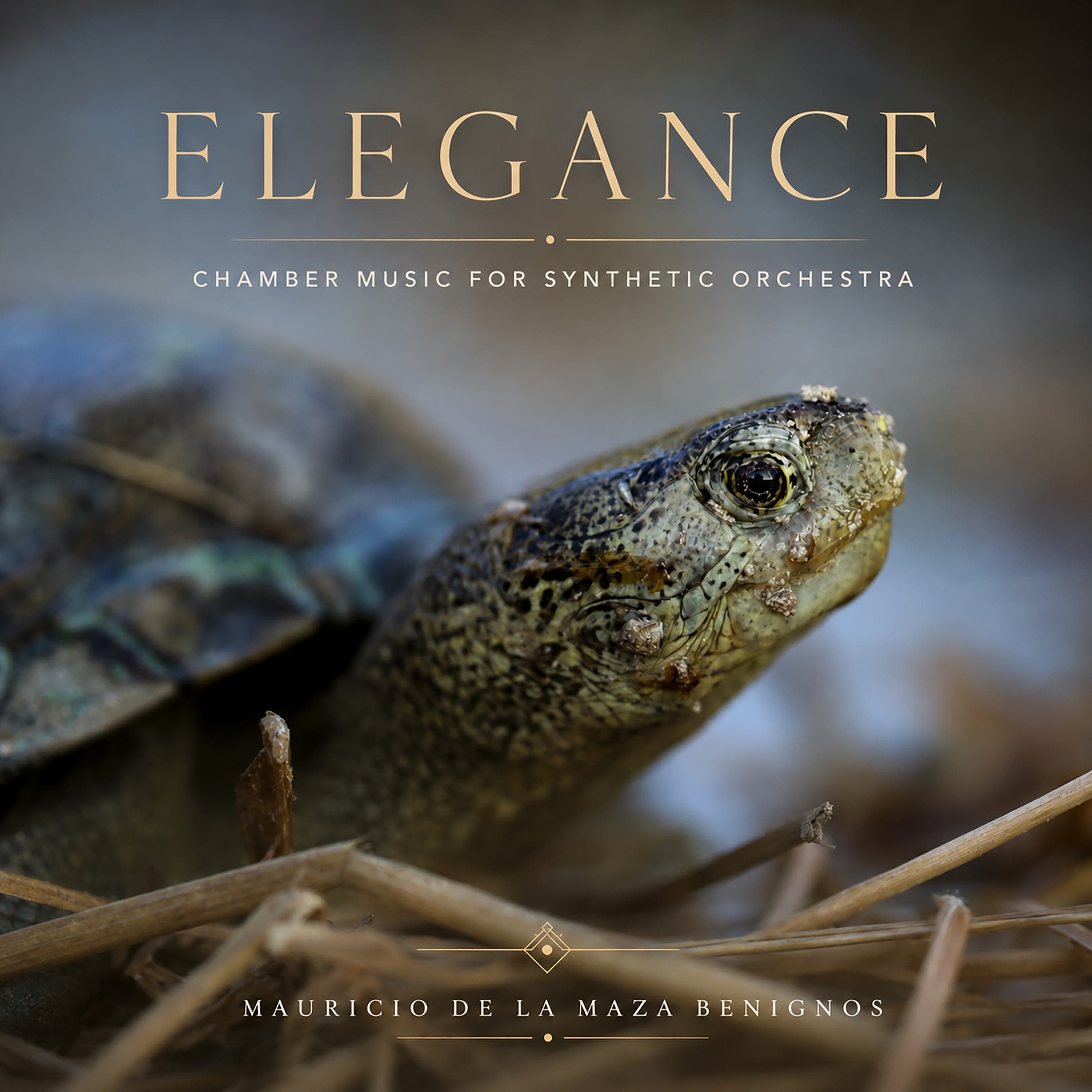 Elegance — portada del álbum de Mauricio de la Maza Benignos