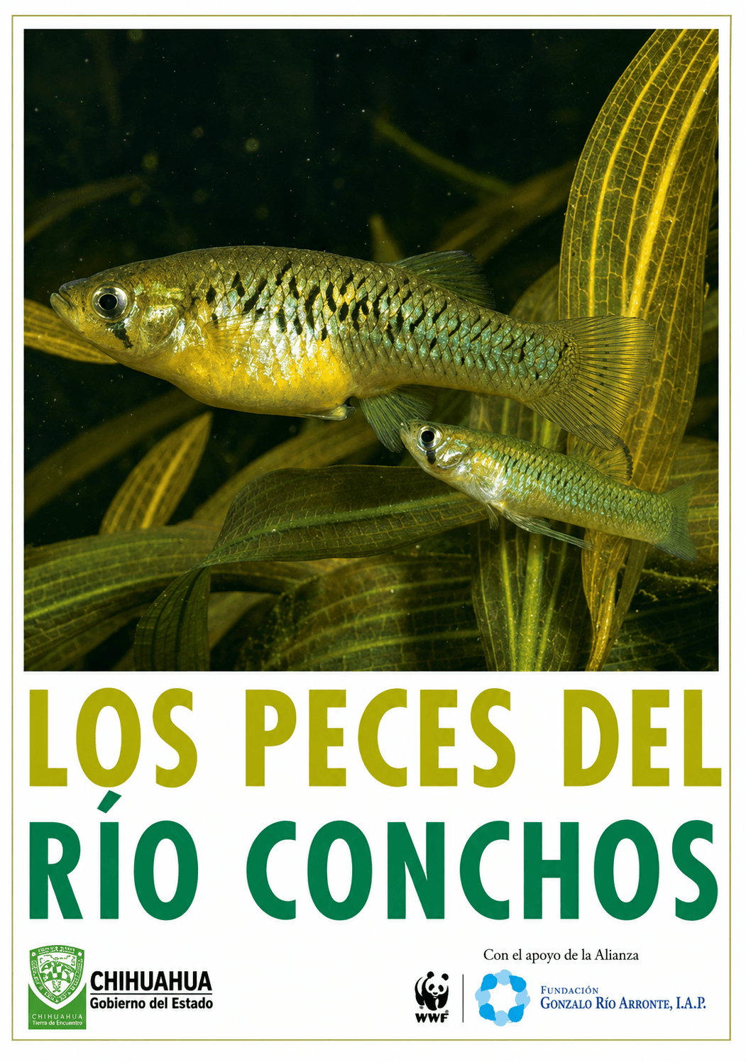 Portada de Los Peces del Río Conchos