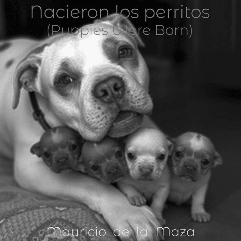 Nacieron los perritos — portada original del álbum, una bulldog francesa con su camada